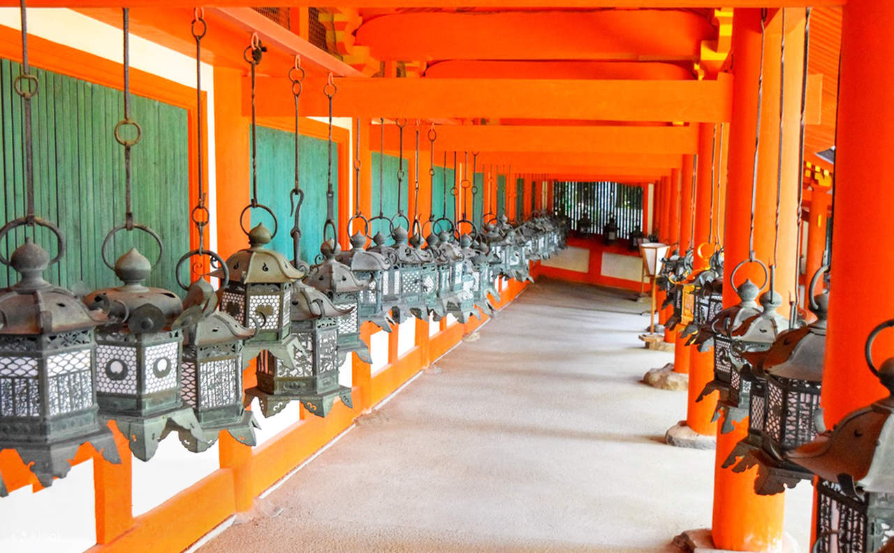 [One-day tour in Nara and Uji] Byodoin Temple, The Tale of Genji Museum ...